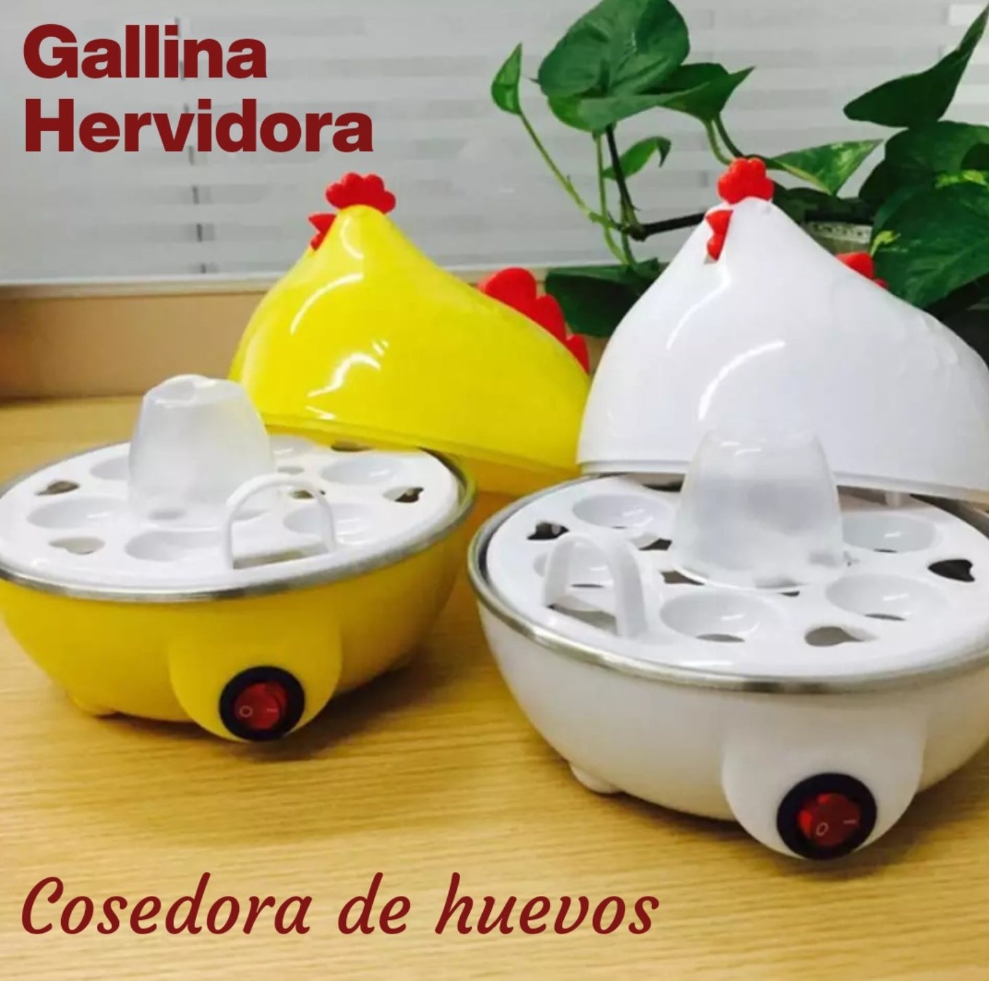 Gallina Hervidora