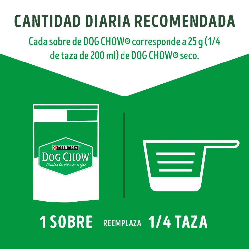 Alimento Para Cachorro TdTm c/ Pollo Dog Chow 15x100g XI