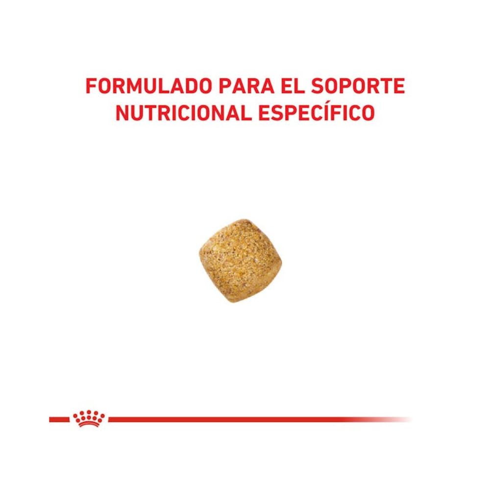 Alimento Para Gatos Castrados Royal Canin Weight Control 12 Kg