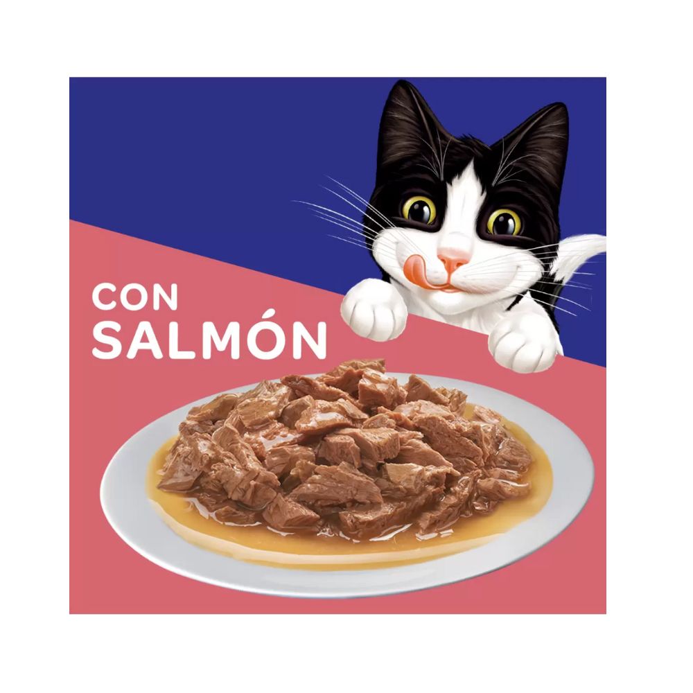 Alimento para Gatos Felix Salmon 85 gr