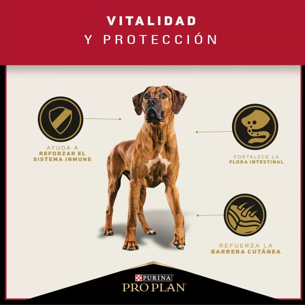 Alimento Para Perro Adult Large Breed Pro Plan 15kg AR