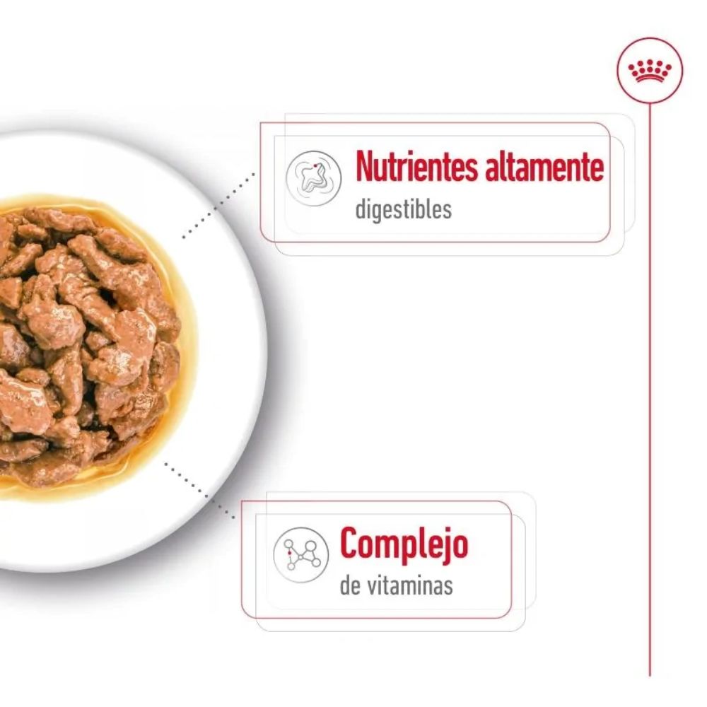 Alimento Para Perro Royal Canin Mini Adult 85 G