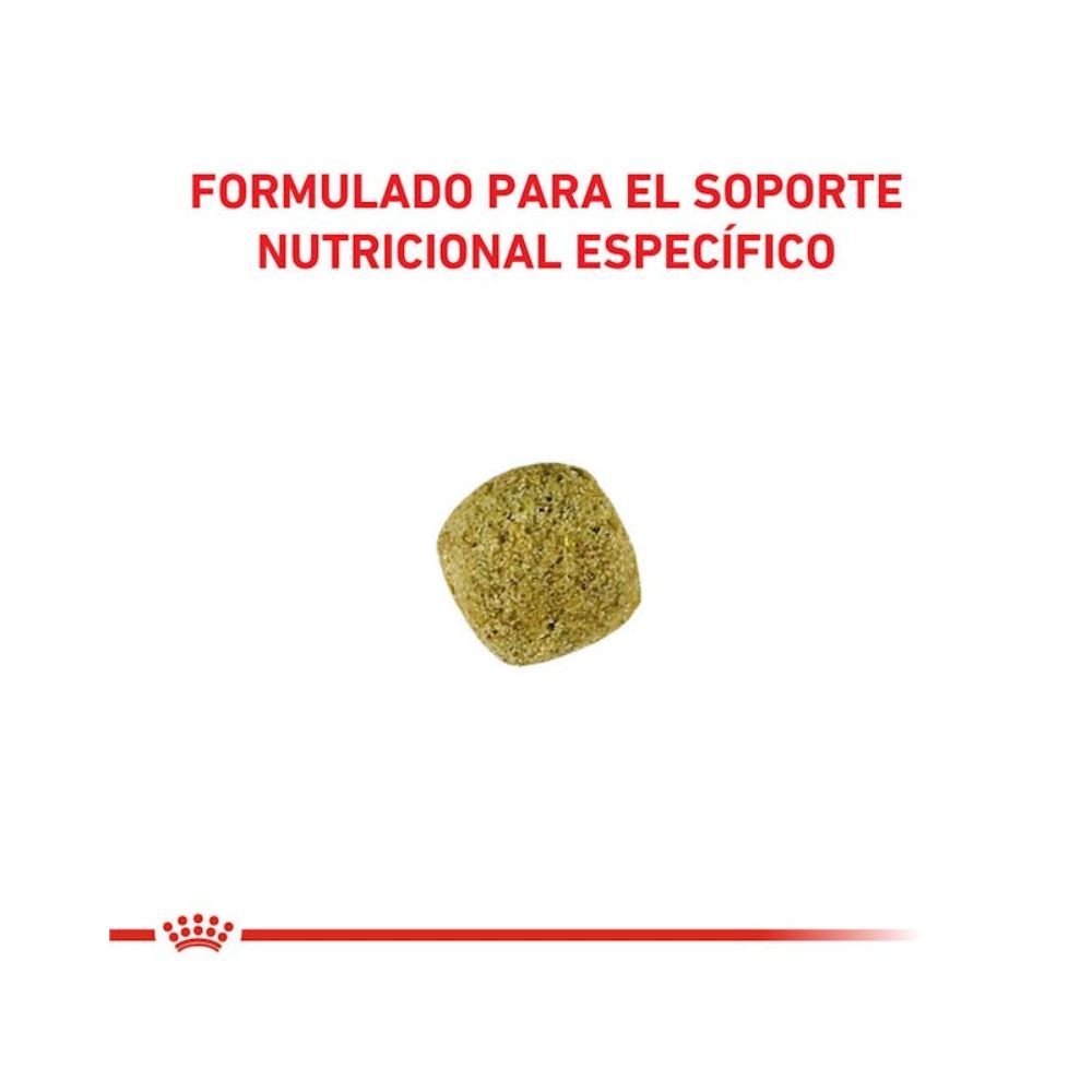 Alimento Para Perros Royal Canin Diabetic Canine 2 kg