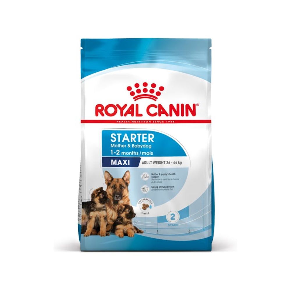 Alimento Para Perros Royal Canin Maxi Starter madre & cachorros 10 kg