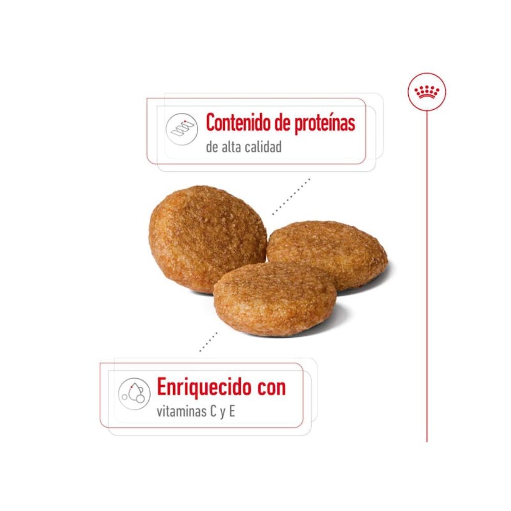 Alimento Para Perros Royal Canin Medium Adult 4 KG