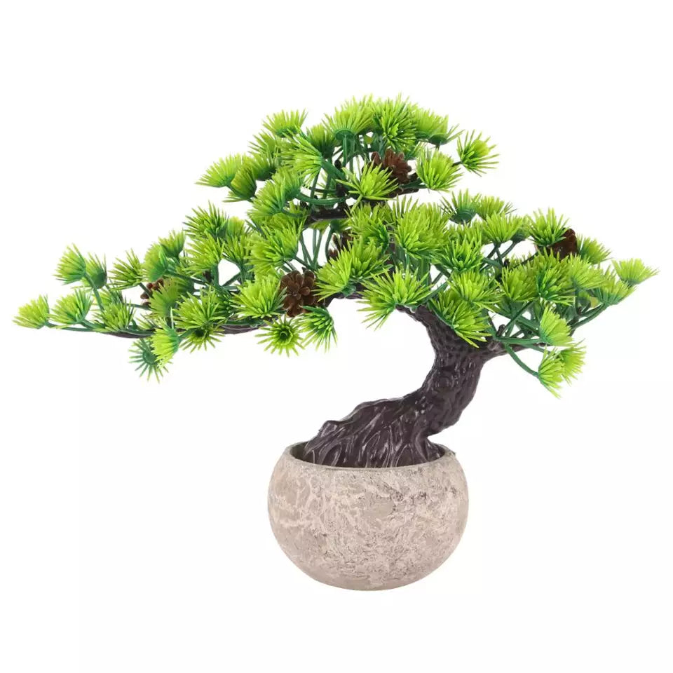 Árbol Bonsai