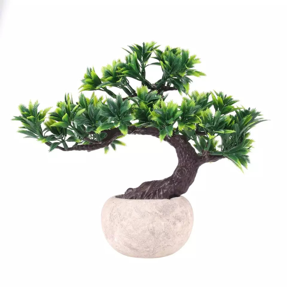 Árbol Bonsai