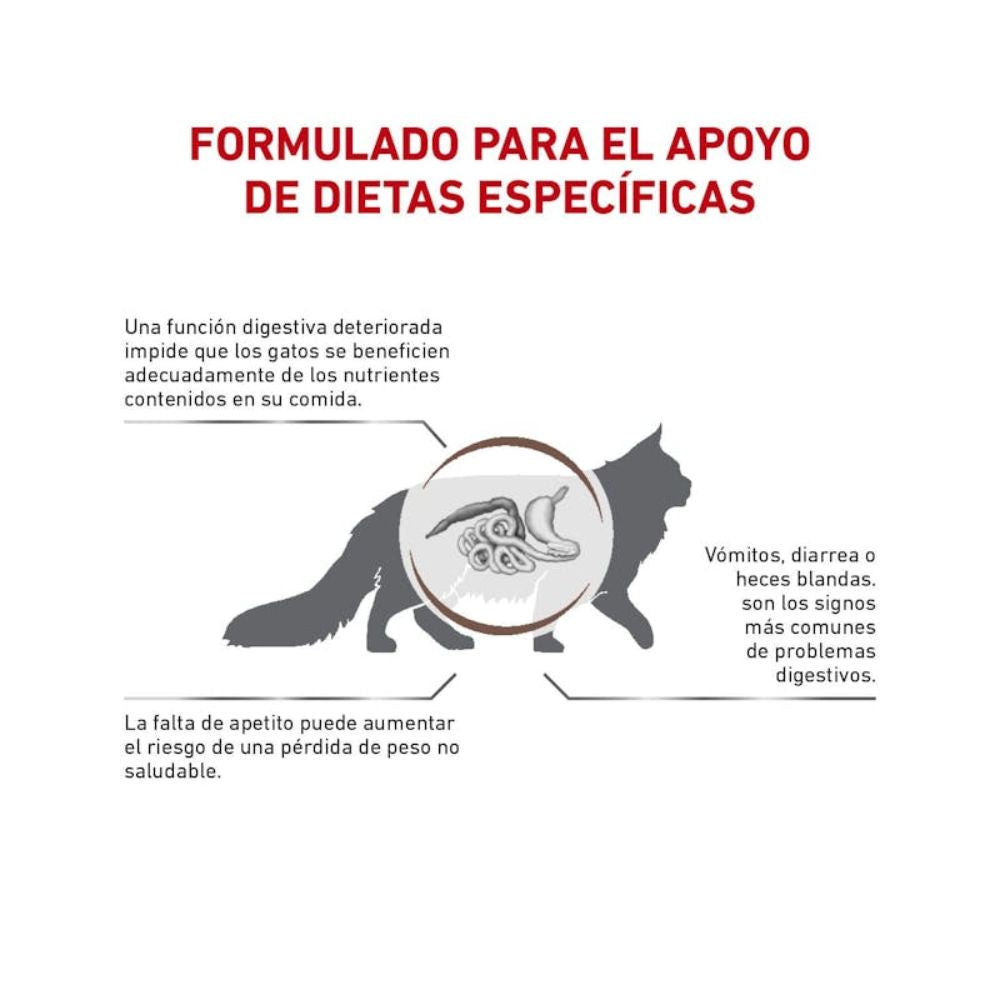 Comida Para Gato Royal Canin Gastrointestinal Cat 2 kg