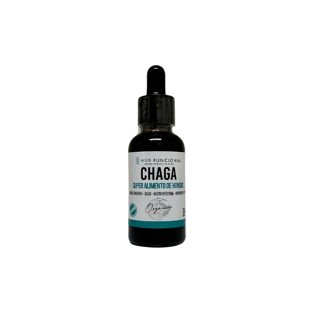 Chaga Hongo Medicinal Hub Funcional