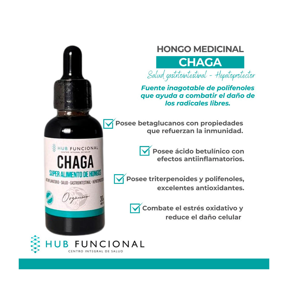 Chaga Hongo Medicinal Hub Funcional