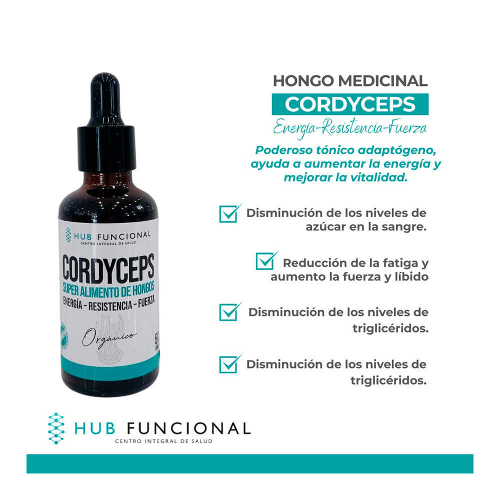 Cordyceps Organico Hongo Medicinal Hub Funcional