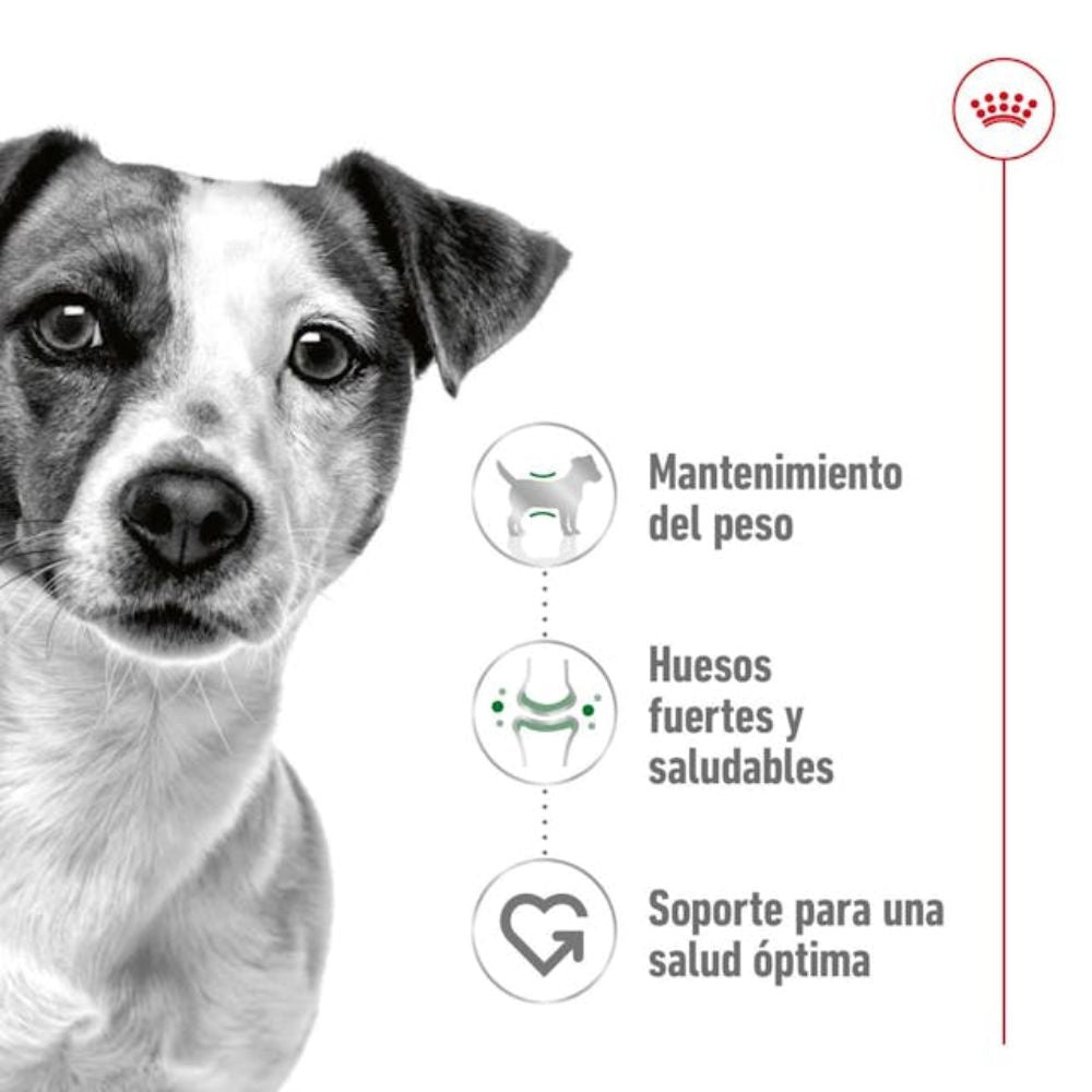 Alimentos Para Perros Royal Canin Mini Adult 8+ de 3 kg