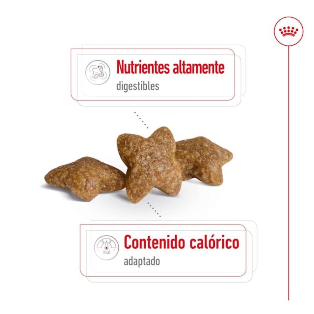 Alimento Para Perros Royal Canin Mini Adult 3 kg