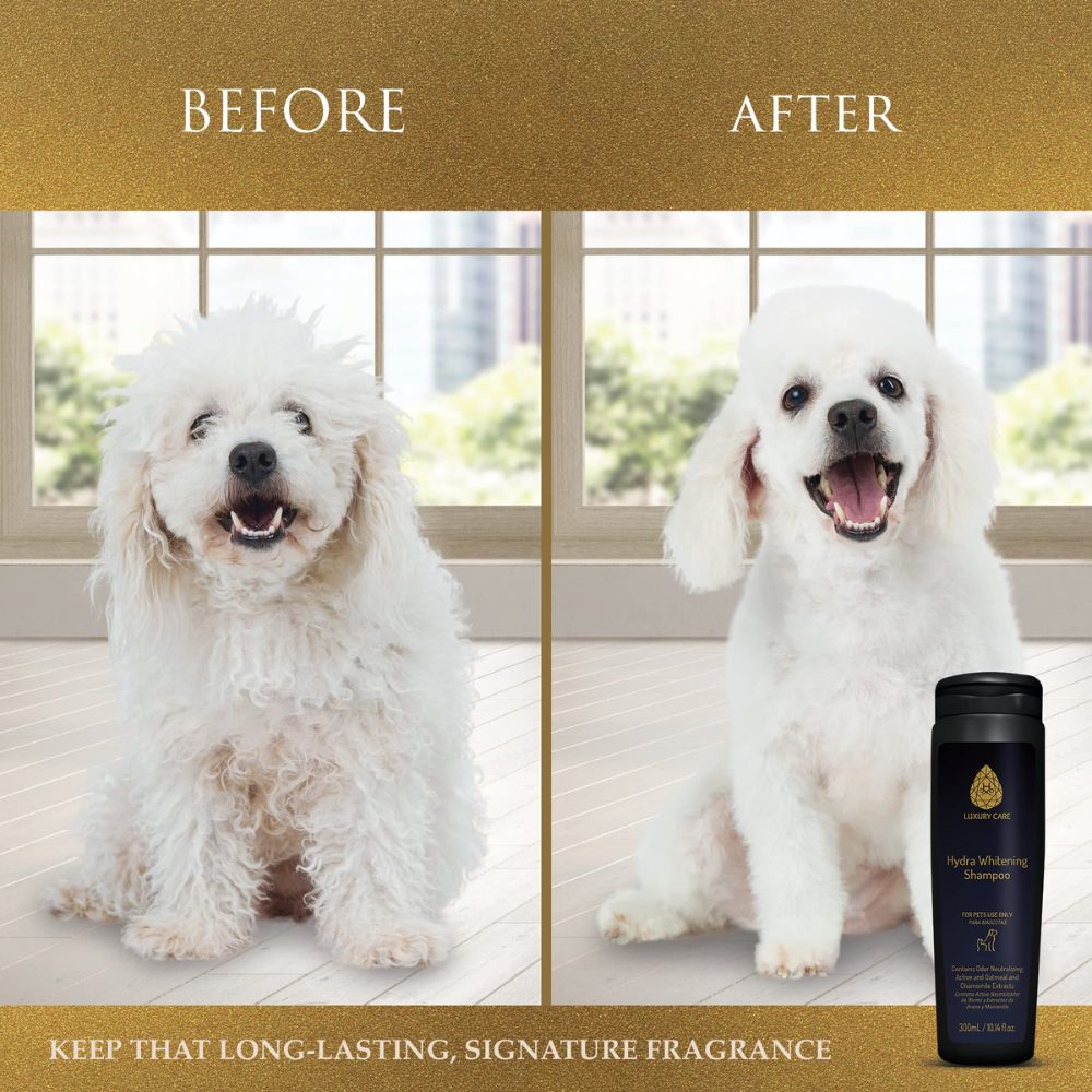 Shampoo Blanqueador para Perros Luxury Care 300 ml