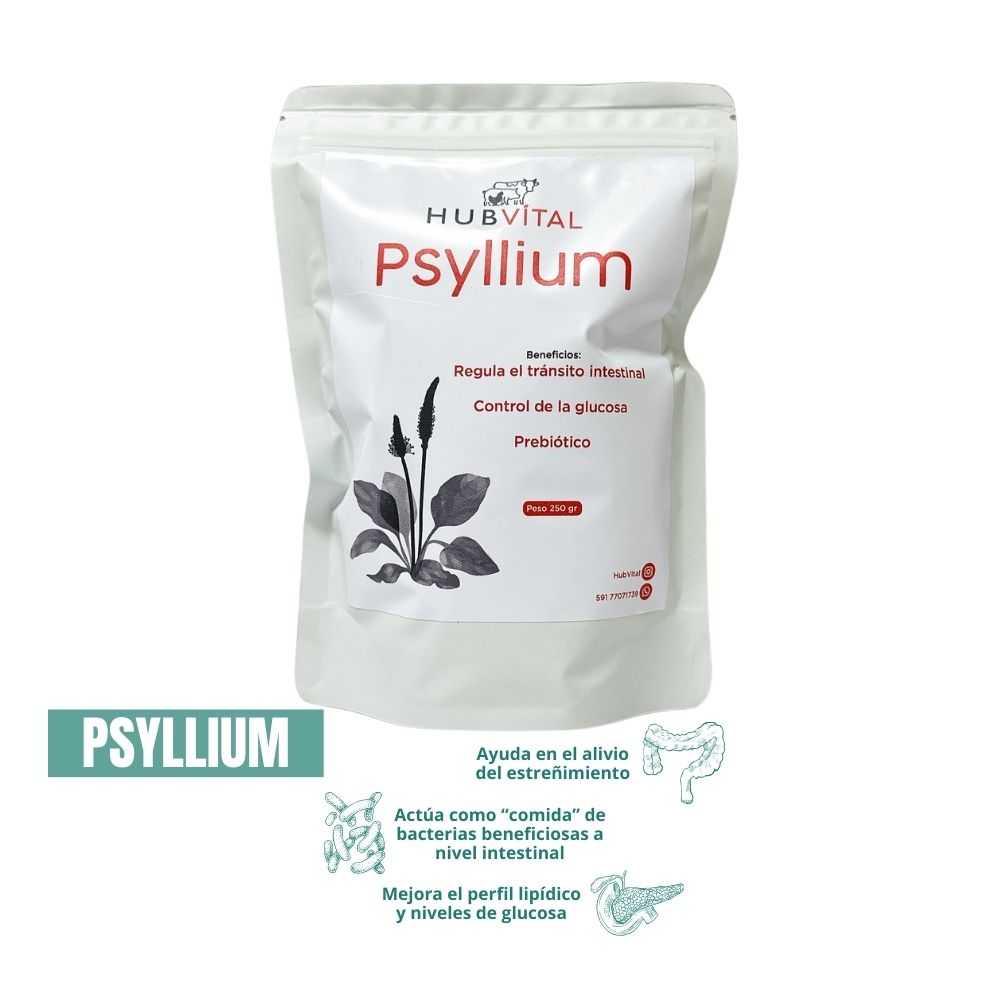 Nutraceútico Psyllium Suplementación Nutraceútica Hub Funcional