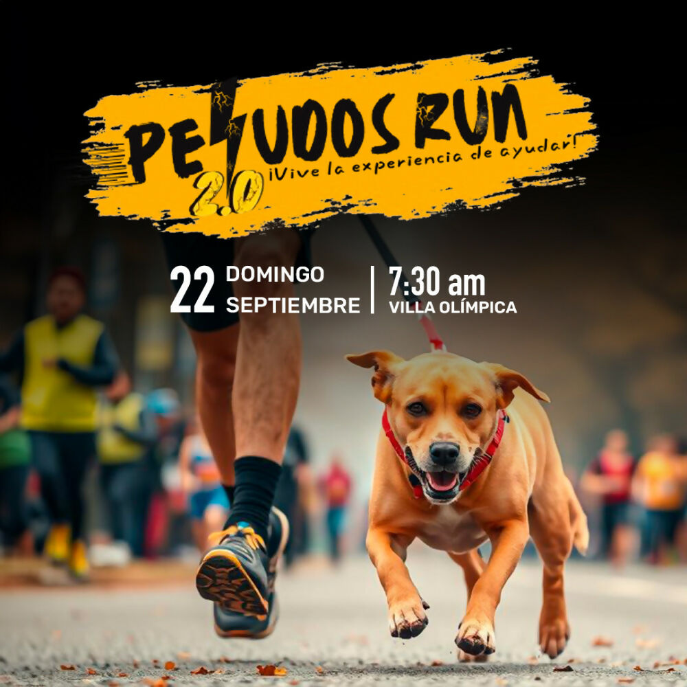 Peludos Run en Santa Cruz Fecha 22-09-2024 Categoría Raza Pequeña